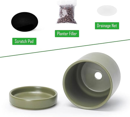 D'vine Dev Set of 4 Small Ceramic Plant Pots, 3.5 Inch Succulent Planter Pot for Plants with Drainage Hole and Saucer, Olive, 94-X-A-0