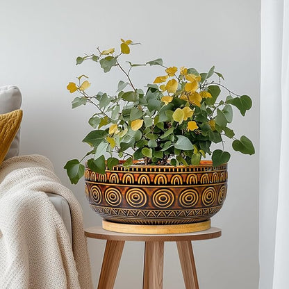 Bonsai Pots 8 Inch - Ceramic Succulent Planters for Indoor Plants, Shallow Plant Pots with Drainage Hole and Saucer, Boho Round Planter Bowl, Office Decor, Brown