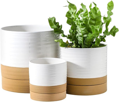 HASENSE Pots for Plants, 8+6+4.6 Inch Ceramic Plant Pots Indoors with Drainage Hole and Tray, White Planters Set for Outdoor Indoor Plants, Farmhouse Home and Office Decor, Set of 3