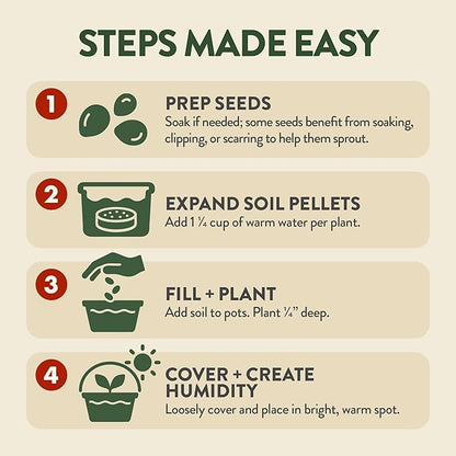 HOME GROWN Bonsai Tree Starter Kit – Unique Christmas Gift for Adults, Men, Women - Grow 4 Bonsais – DIY Crafts Hobby Gardening Kit for Plant Lovers, Mom, Dad - White Elephant Gifts for Adults
