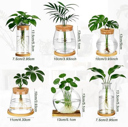 6 Pcs Plants Propagation Stations Glass Planter Terrariums with Wooden Lid and Bamboo Stand Desktop Propagation Vases Jars for Plant Growing Hydroponic Home Office Tabletop Garden Decoration