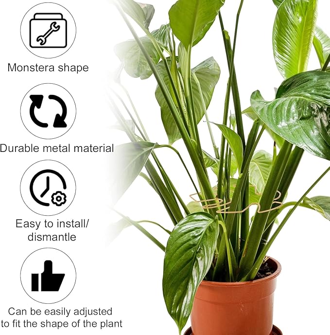 Plant Support Clips - 5-Pack of 7.52x6.65 Inch Indoor plant stabilizer for Vines,Monstera, Pothos & Philodendron | plant stem support,Durable Trellis Accessories for Gardening