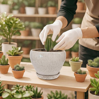 Deep Dream 6 Inch Plant Pots- Ceramic Planter Pot with Drainage Hole and Saucer, Round Flower Pot for Indoor Outdoor Succulent, Snake Plants and Cactus, Beige