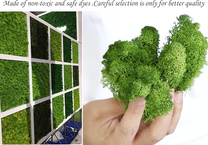 Moss Preserved Moss for Potted Plants Natural Fresh Green Reindeer Moss for Craft Arts Floral Wall Decor Decor Wedding Centerpieces Garden Artificial Terrariums Decoration for Christmas - Red 3.52OZ