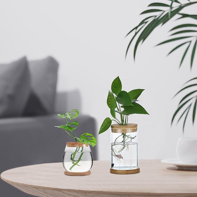 3Pcs Plant Propagation Station, Transparent Lidded Propagation Stations with Tray Hydroponic DIY Jars for Home Office Desktop, Straight
