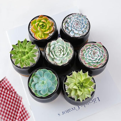 2 Pack Succulent Pots, 2.5 Inch Mini Ceramic Pots for Flower or Cactus Plants with Drainage Hole,Plants Not Included (Black)