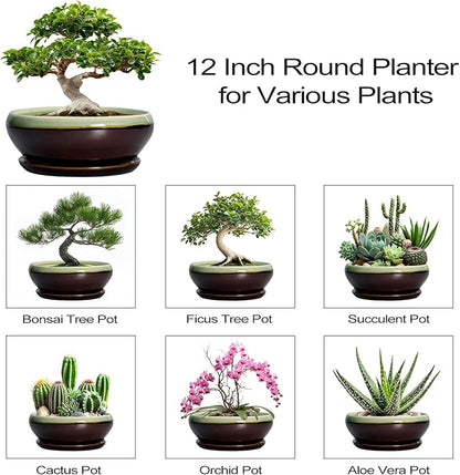 SQOWL Bonsai Pots 12 Inch - Large Ceramic Pots for Succulents with Drainage Hole and Saucer, Shallow Planter for Indoor Plants Outdoor, Round Planter Bowl, Office Decor, Gifts for Women, Green-Brown