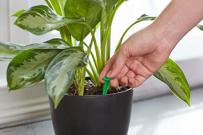 Miracle-Gro Indoor Plant Food Spikes, Includes 48 Spikes - Continuous Feeding for all Flowering and Foliage Houseplants - NPK 6-12-6
