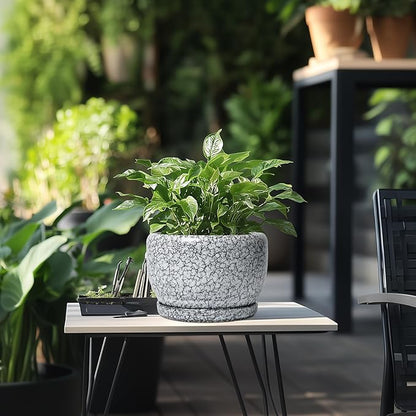 SQOWL 8 inch Plant Pot - Ceramic Planter with Drainage Hole and Saucer, Round Flower Pot for Indoor Plants, Decorative Planter Outdoor, Patio Balcony Decor, House Warming Gifts, Black and White