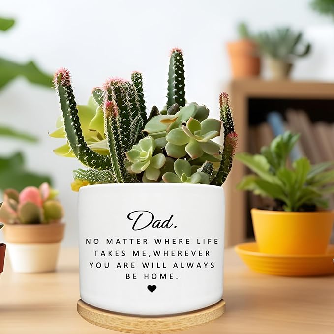 Dad Gifts from Daughter Son, Succulent Cactus Cute Planter Plant Pots Gifts for Dad, for Dad Father, Dad Birthday Gifts, Best Dad Ever Gifts, Gardening Gifts for Dad