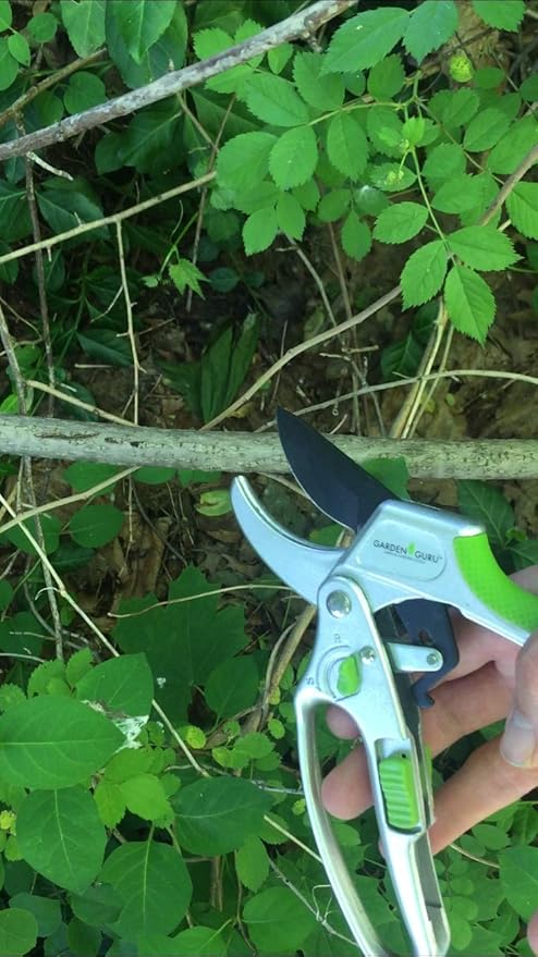 Garden Guru 2 in 1 Ratchet Pruning Shears Clippers – 4X Cutting Power – Ratcheting Garden Anvil Pruners Scissors - Ergonomic Grip - Makes Tough Cuts Easy - Great for Seniors & Arthritic Hands (2 Pack)
