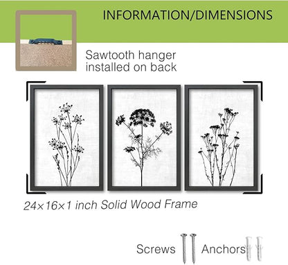 TQianJiang Flower Plant Wall Decor 24"x16" Black And White Botanical Painting Wood Framed Set of 3 Bedroom Office Abstract Wildflower Sign Hanging Art (Black)