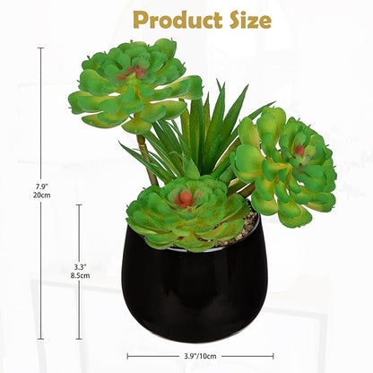 Briful Artificial Succulents Plants in Ceramic Pot, Faux Succulent with Black Planters – Modern Desk Decor for Home Office Shelf Bathroom, Small Fake Plants Potted