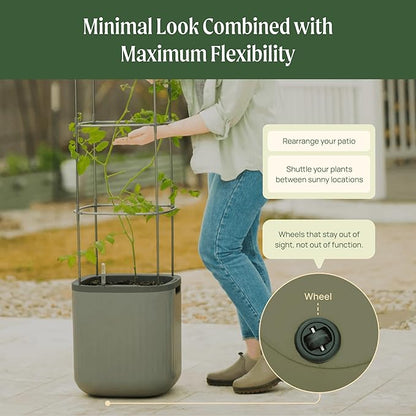 Vego garden Self Watering Pots Home Planters with Water Gauge for Effortless Indoor Plants Fog Gray No Trellis