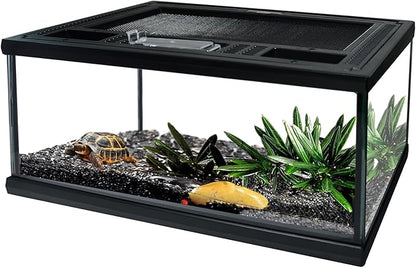 Reptile Glass Terrarium Tank 12"*8"*6",Small Cage Full View with Top Screen Ventilation Habitat Enclosure for Tarantula,Frog,Gecko,Insects,Spiders,Snakes,Hermit Crab,Turtle,Ball Python