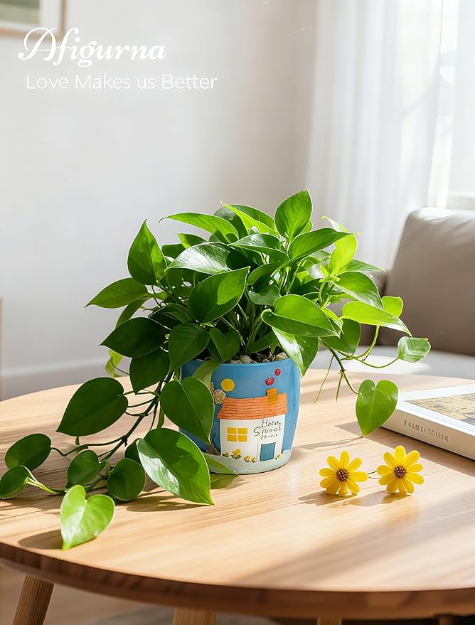 New Home Gift Ideas: Home Sweet Home Plant Gift for Plant Lover - 5.3in Hand-Painted 3D Art Planter - Gardening House Warming Gift for New Apartment Christmas