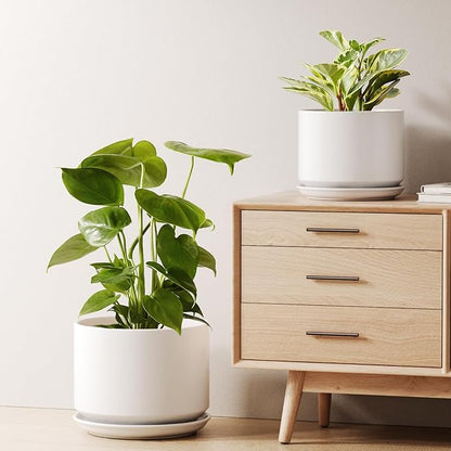 LE TAUCI Ceramic Plant Pots, Set of 2, 8 & 10 Inch Plant Pots Indoor with Saucer and Drainage, Modern Durable Planters for Home Decor, Great Gift for Plant Lover, White