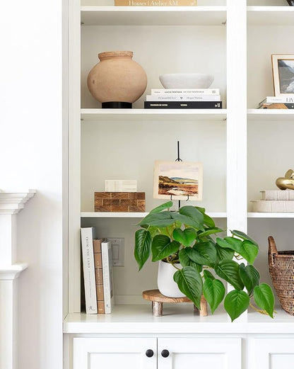 DILATATA Fake Plants Indoor 8 Inch Artificial Pothos Plant in White Ceramic Pot - Faux Potted Pothos Plant for Home Aesthetic Decor Living Room Shelf Office