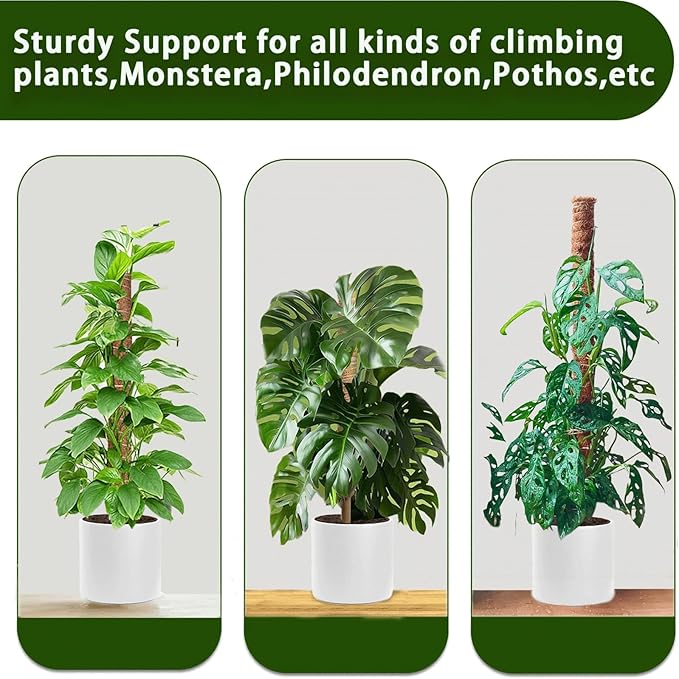 Moss Pole, 2Pack 21 Inch Plant Support Stakes for Indoor Plants, Monstera Plant Support Stakes, 37 Inch Tall Coir Plant Pole Sticks for Potted Plants, Pothos, Philodendron