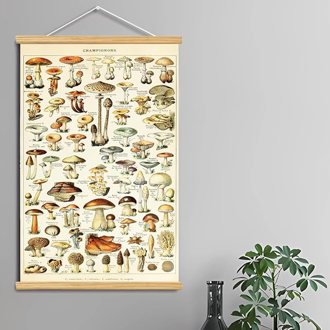 Vintage Flowers Poster Hanger Frame, Plant Floral Reference Chart Wall Decor Cottagecore Room Decor Aesthetic, Retro Style Wall Decor Art Painting Prints. (mushroom A, 29L x 20W)