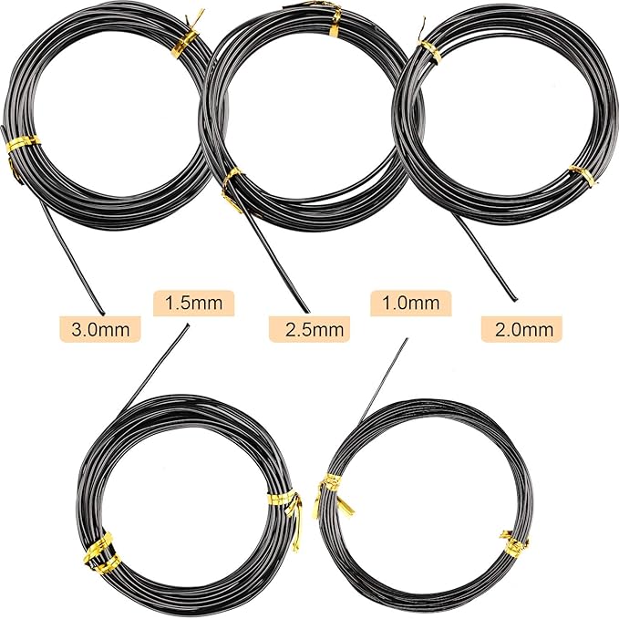 Hotop 10 Rolls Bonsai Wires Anodized Aluminum Bonsai Training Wire in 5 Sizes - 1.0 mm, 1.5 mm, 2.0 mm, 2.5 mm, 3.0 mm, Total 164 Feet (Black)
