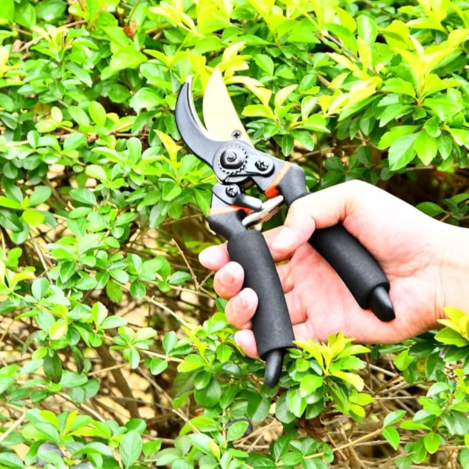 8" Professional Premium SK5 Bypass Pruning Shears, Hand Pruners, Garden Clippers.