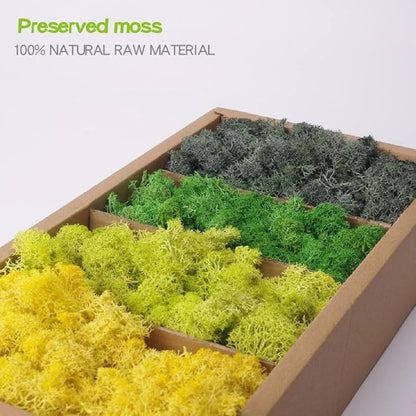 Preserved Moss-1.1lb 4 Color Mix Pack Reindeer Craft Moss, Green Moss Artificial Moss Suitable for Flowerbeds, Crafts, Home Office Artistic Decoration(Green Tones-4)