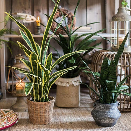 Bird Fiy Artificial Snake Plants 30" Faux Agave Fake Sansevieria Artificial Silk Plant for Home Garden Office Store Decoration 4 Pcs (Green)