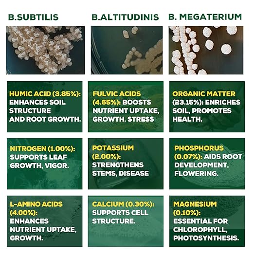Organic Liquid Plant Food for Indoor Plants & Gardens, Natural NPK Fertilizer w/Beneficial Microbes, Rapid Results, Vegan, Best Value Super Concentrate, Smart Grower, Makes 160 Gallons (32 Fl Oz)