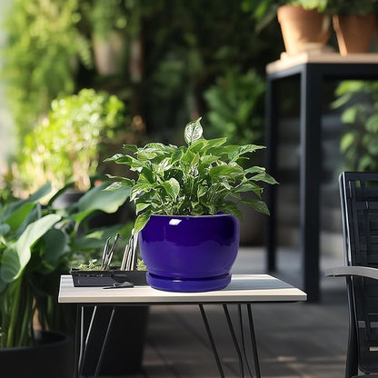SQOWL 8 Inch Plant Pot - Ceramic Planter for Indoor Plants Outdoor, Ceramic Flower Pot with Drainage Hole and Saucer, Modern Round Planter, Bathroom Decor, Gifts for Plant Lovers, Blue