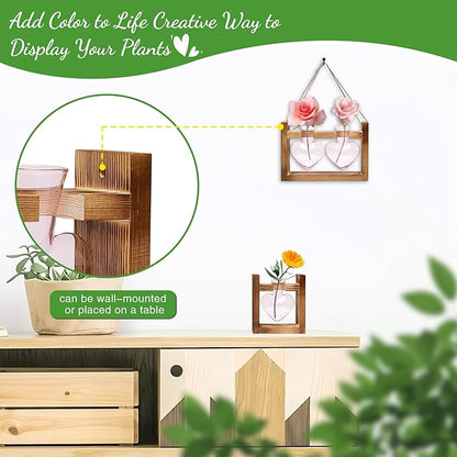 2+1 Plant Terrarium Plant Propagation Station Birthday Gifts for Women Home Office Decor with Wooden Stand