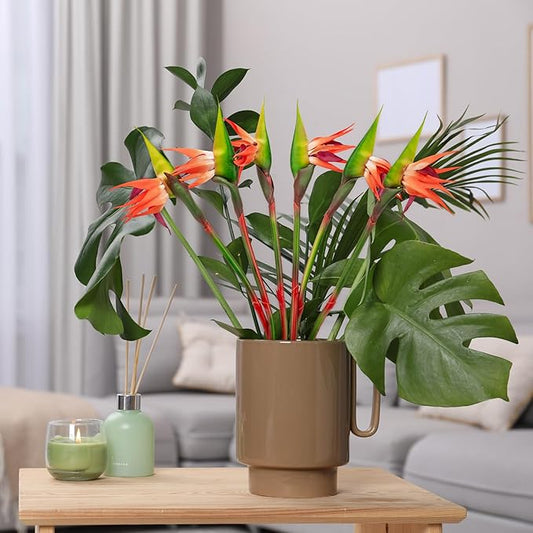 6 PCS Artificial Bird of Paradise Flowers, Real Touch 26inch Long Stem Flower Made of Soft Rubber PU for Indoor Outdoor Home Wedding Floral Arrangement Garden Party Decor (Orange)
