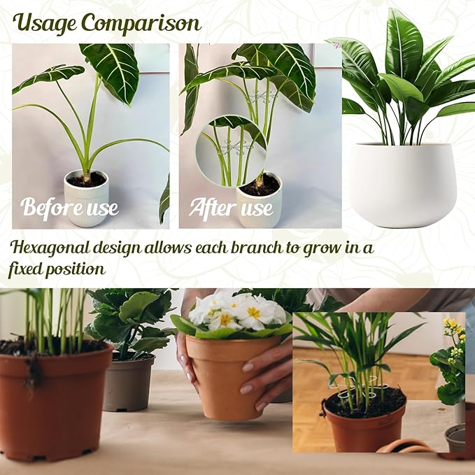8 Pack Clear Indoor Plant Support Stakes, Reusable Plastic Plant Stem Holders & Trellis for Monstera Pothos Vines Vertical Growth Air Circulation Stable Stem Support