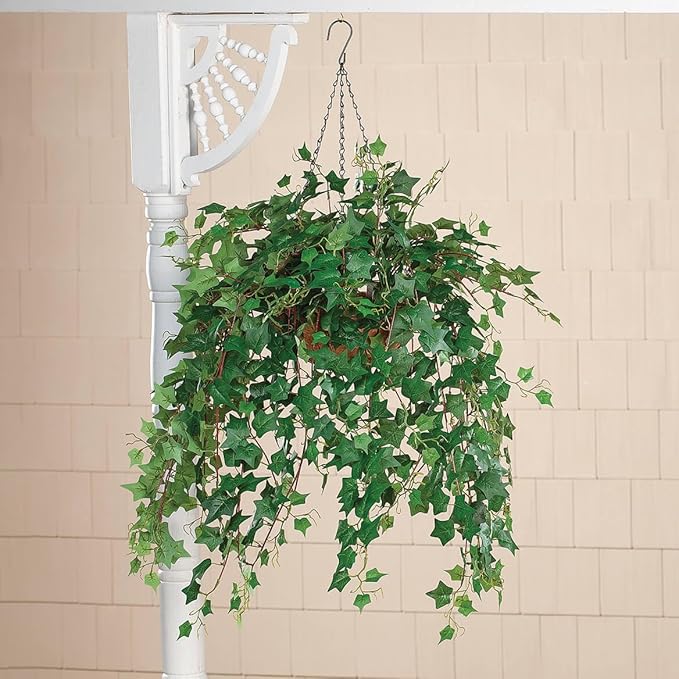 OakRidge Fully Assembled Ivy Hanging Basket, English Green