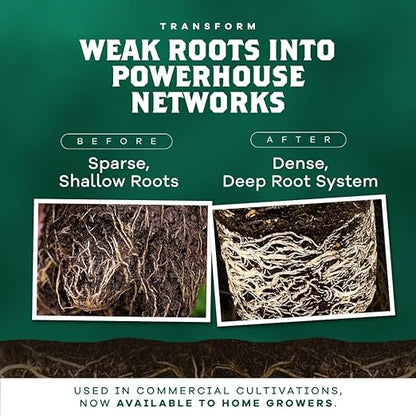 DYNOMYCO Granular Mycorrhizal Fungi Inoculant, 200g / 7oz – Boosts Root Growth, Yields & Nutrient Uptake – 900 Propagules/g, Concentrated Granules, & OMRI Listed – Biofertilizer for Plant Growth