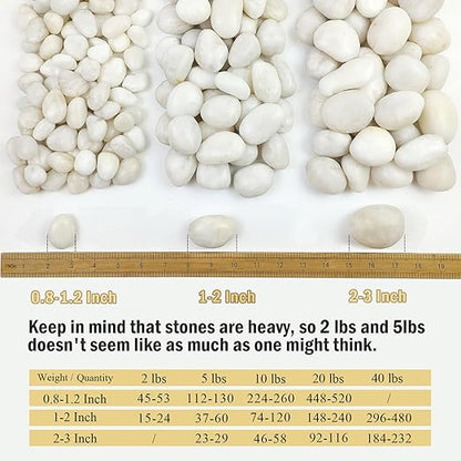10 lbs White Pebbles for Indoor Plants, 0.8-1.2 Inch Small White River Rocks Stones for Planters, Vases, Fish Tank, Garden, Landscaping, Top Dressing and Bottem Drainage