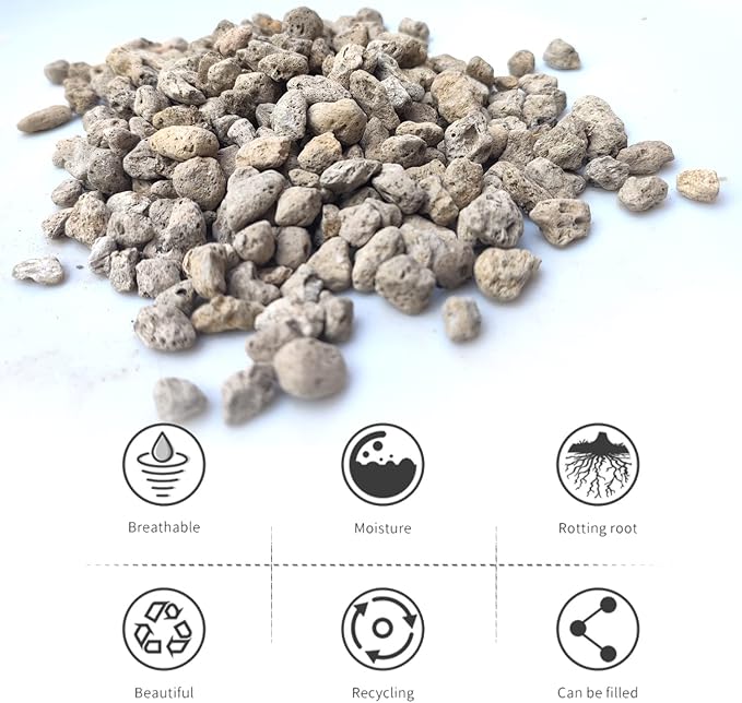 Horticultural Pumice for Plants Professional Sifted (8QT, 1/2 inch)