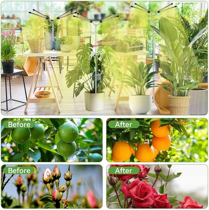 Grow Lights for Indoor Plants Full Spectrum,15-62 Inches Height Adjustable Dsektop and Standing Plant Growing Lamps with Detachable Tripod Stand, Auto On/Off Timer (Full Spectrum, Four Heads)