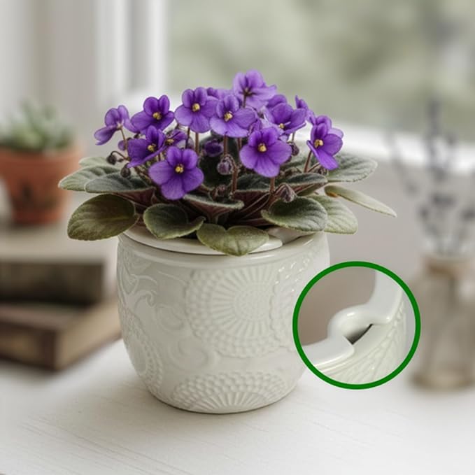 6.5” Ceramic Self Watering African Violet Planter with Embossed Floral Design – Durable Indoor Plant Pot for Orchids, Succulents, and Houseplants