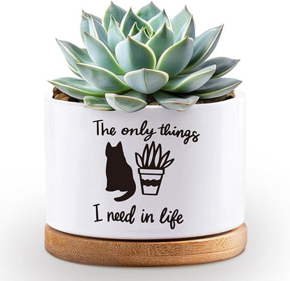 Succulent Cactus Flower White Ceramic Plant Pot with Drainage, Funny Plant Decorative Pots for Plants, Indoor Planter I Need in Life Small Succulent Pots, Not Plant