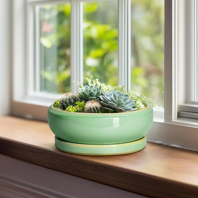 Succulent Planters - 8 Inch Ceramic Bonsai Pots with Drainage Hole and Plant Tray, Round Planter for Indoor Outdoor Plants, Shallow Planter Bowl, Room Decor, Housewarming Gifts, Light Green