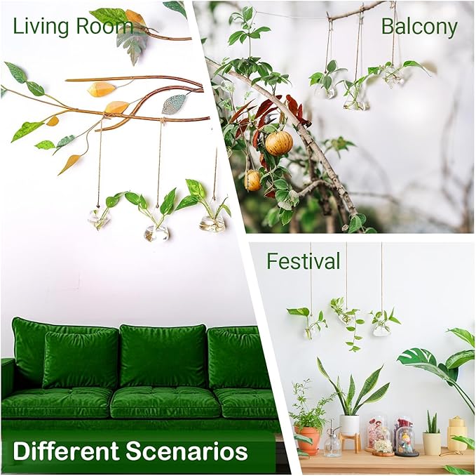 Propagation Station, Plants Terrarium, Plants Lover Gifts for Women,Plant Cutting Holder Home décor,Gifts for Women,House Warming New Home-3 Geometric Shape