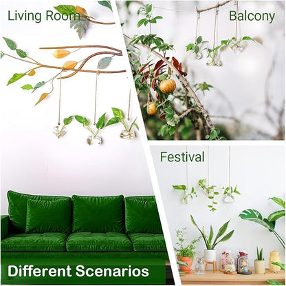 Propagation Station, Plants Terrarium, Plants Lover Gifts for Women,Plant Cutting Holder Home décor,Gifts for Women,House Warming New Home-3 Geometric Shape