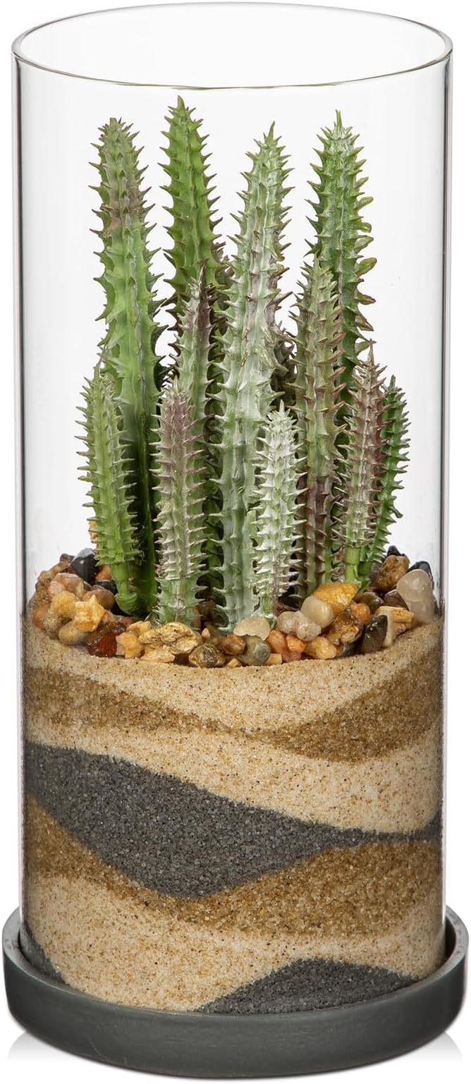 Artificial Succulent in Cylindrical Glass Vase Fake Cactus Plant with Modern Glass Terrarium for Home Decor Farmhouse Hostess Gift