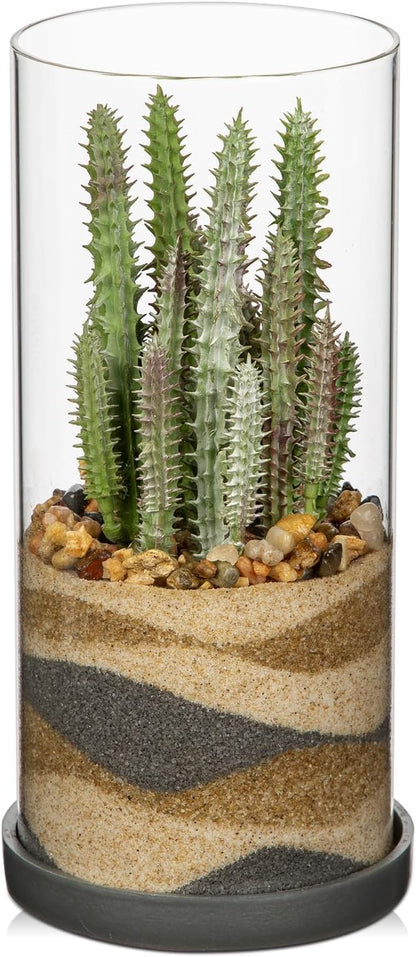 Artificial Succulent in Cylindrical Glass Vase Fake Cactus Plant with Modern Glass Terrarium for Home Decor Farmhouse Hostess Gift