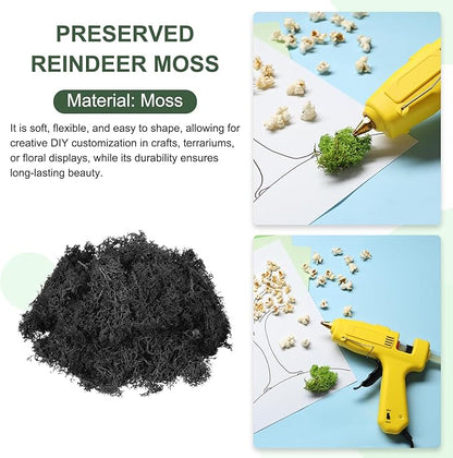 MECCANIXITY 3oz Preserved Reindeer Moss, Black Decorative Artificial Fake Moss for Potted Plants Indoor Crafts Lichen Centerpieces Decor