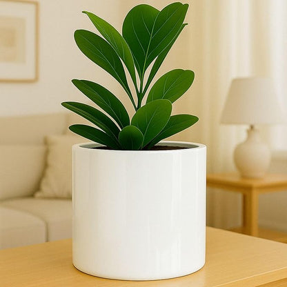 Fox & Fern Large 12 Inch Planter — Premium Lightweight Fiberstone Glossy White Plant Pot; Drainage Plug; Large Indoor & Outdoor Floor Planter; 12 Inch Pots for Plants; Weather Resistant & UV Resistant