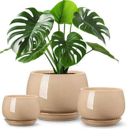 vancasso 3-Pack Ceramic Plant Pots, 3.7/4.8/6.2 Inch Indoor Planters with Saucers & Drainage Hole Planter pots for Indoor Plants and Flower, Brown