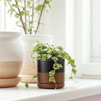 D'vine Dev Set of 3 Plants Pots, 3.5 Inch Ceramic Planter Pot for Plants with Drainage Hole and Saucer, Black/Speckled Tan, 94-N-A-7