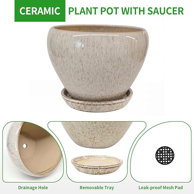 Deep Dream 10 Inch Plant Pot- Ceramic Planter Pot Round Plant Pots for Indoor Plants Outdoor Large Flower Pot with Drainage Holes & Trays, Beige